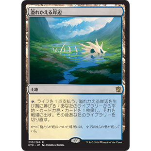 KTK_233 FLOODED STRAND FETCH LAND *Khans of Tarkir* MTG Magic: The Gathering Rare
