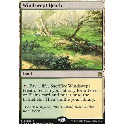 KTK_248 WINDSWEPT HEATH Fetch Land MTG Magic The Gathering: Khans of Tarkir Rare
