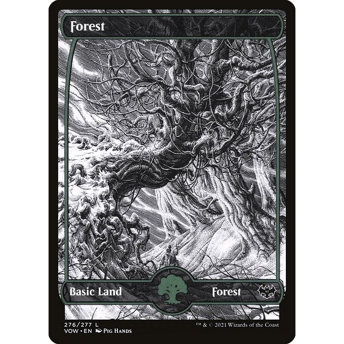 VOW INNISTRAD: CRIMSON VOW FULL ART ETERNAL NIGHT BASIC LANDS - AND REGULAR Choose Your Cards MTG Magic: The Gathering Basic Land