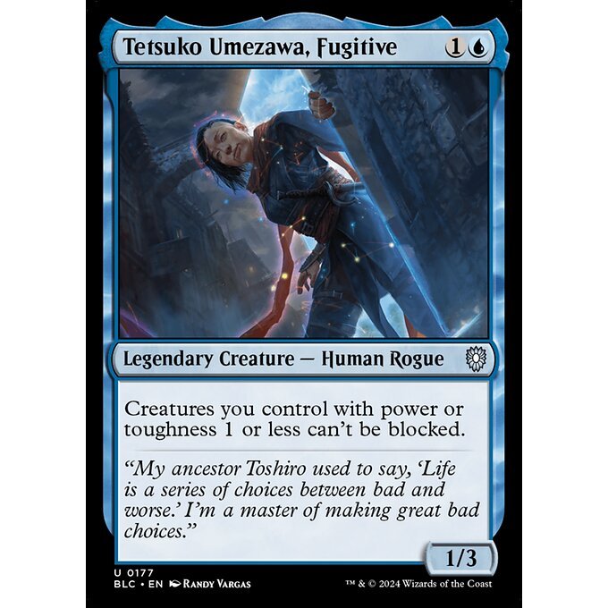 BLC Bloomburrow Commander Deck: FAMILY MATTERS Singles MTG: Magic: the Gathering: Choose your cards inside BLB