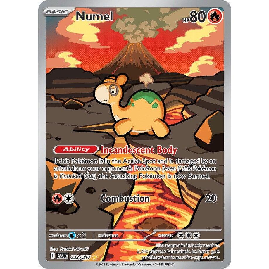 ASC_223/217 NUMEL *Ascended Heroes* IR English Pokemon TCG_Illustration Rare