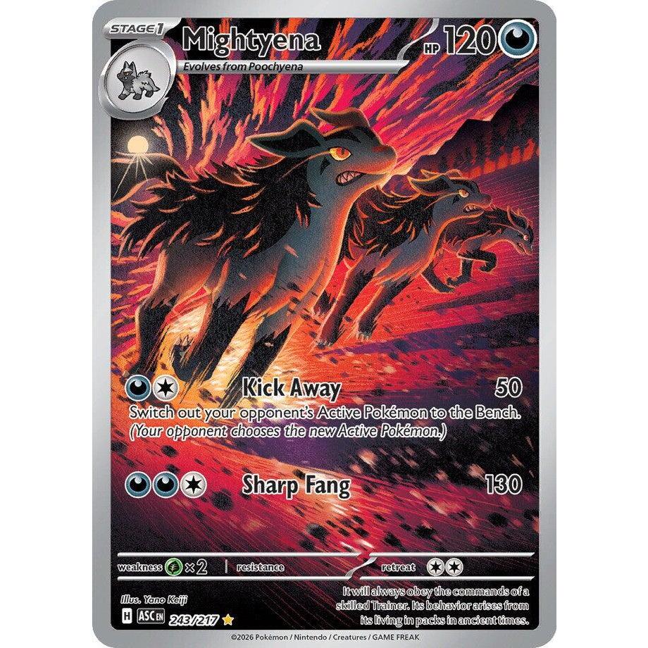 ASC_243/217 MIGHTYENA *Ascended Heroes* IR English Pokemon TCG_Illustration Rare